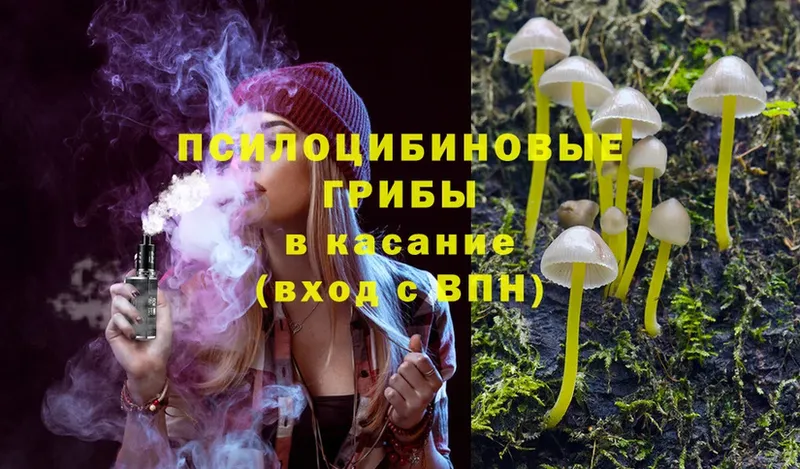 как найти наркотики  нарко площадка состав  Псилоцибиновые грибы Psilocybe  Сосенский 